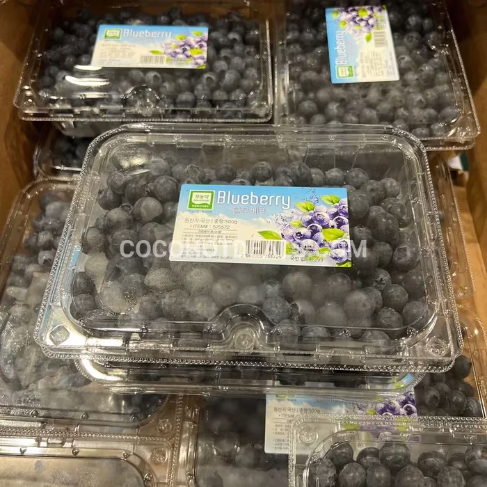 코스트코 무농약 블루베리 (500G) 원산지: 국내산