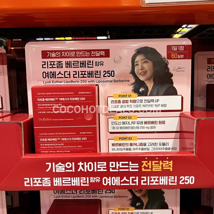 코스트코 여에스더 리포좀 베르베린 60CT (30CT X 2 SET)